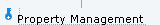 Property Management